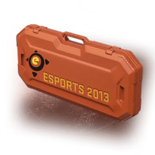 Кейс eSports 2013